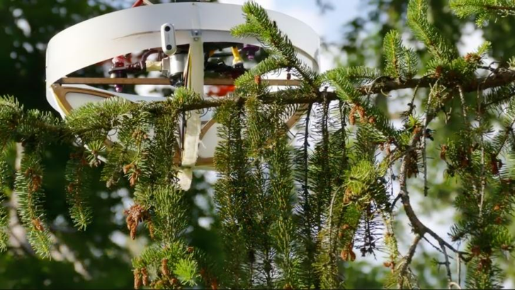 Drone ile DNA toplamaya başladılar! Büyük keşif - Resim : 1