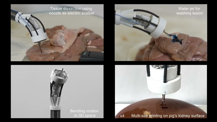 Ölümsüzlük çok yakın! 3D yazıcı ile doku hasarını onaracaklar! - Resim : 1