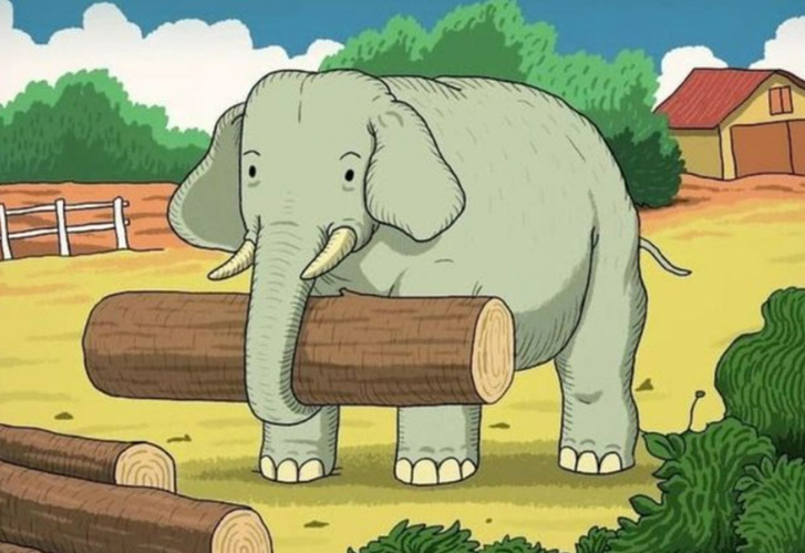 Bu resimdeki atı sadece yüksek zekalı insanlar görüyor! - Resim : 1