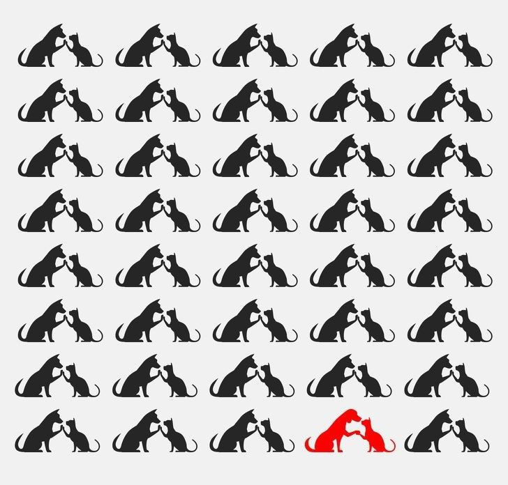 Herkes bu testi çözmeye çalışıyor! - Resim: 17