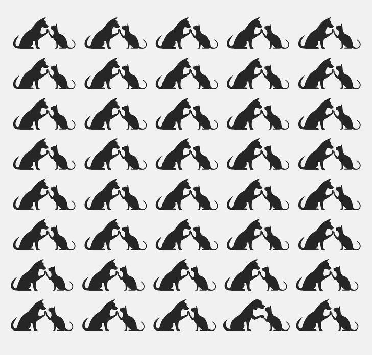 Herkes bu testi çözmeye çalışıyor! - Resim: 8