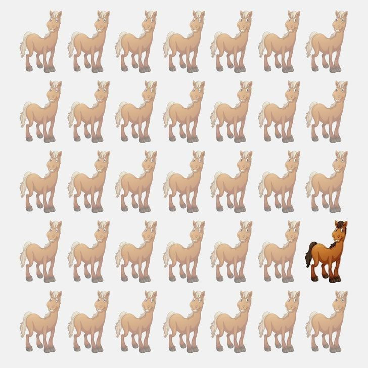 Herkes bu testi çözmeye çalışıyor! - Resim: 11