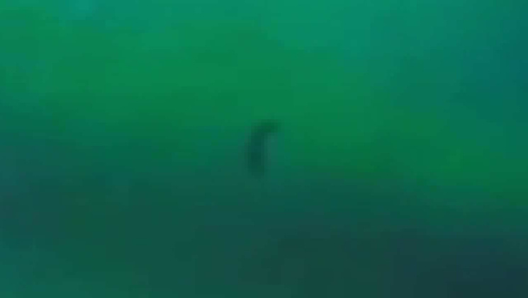 1472949768_bizarreimageonisslivefeedmarch92014blackknightsatellite168501.jpg 1472949768_bizarreimageonisslivefeedmarch92014blackknightsatellite168501.jpg