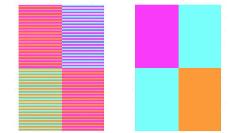 Yeni sosyal medya çılgınlığı: Bu resimde kaç renk var? - Resim : 2