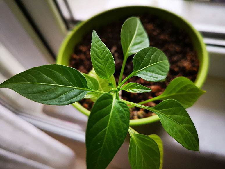 Huawei Mate 20 Pro kullandık ve inceledik! (Video) - Resim : 1