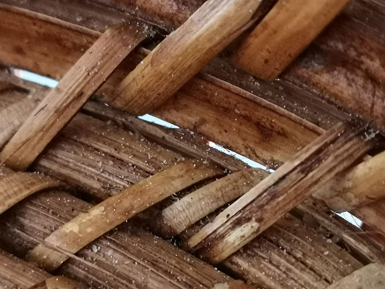 Huawei Mate 20 Pro makro fotoğraf performansı - Resim : 1