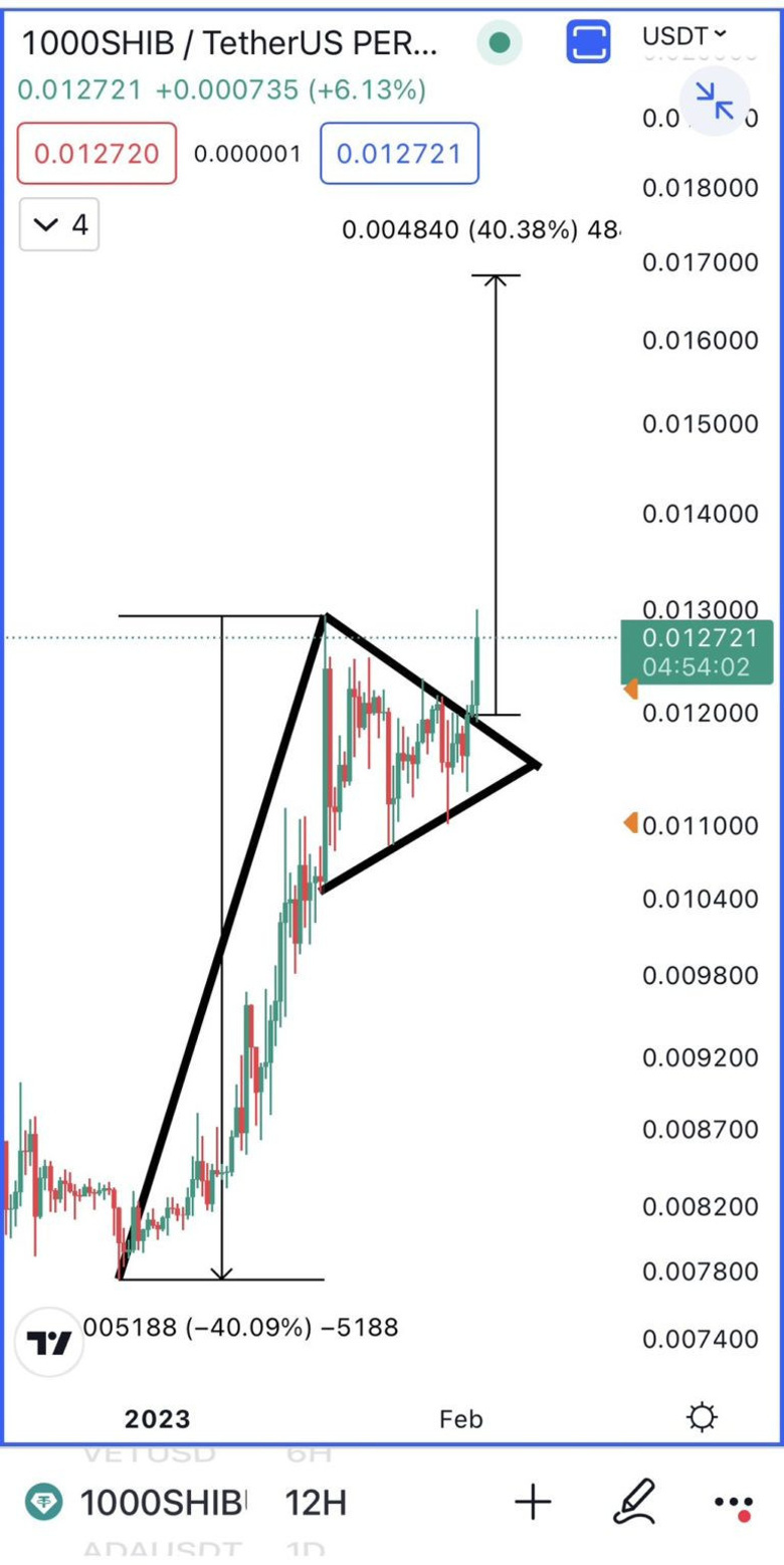 SHIB fiyat analizi: Shiba Inu boğa flaması patlamasına yakın! - Resim : 1