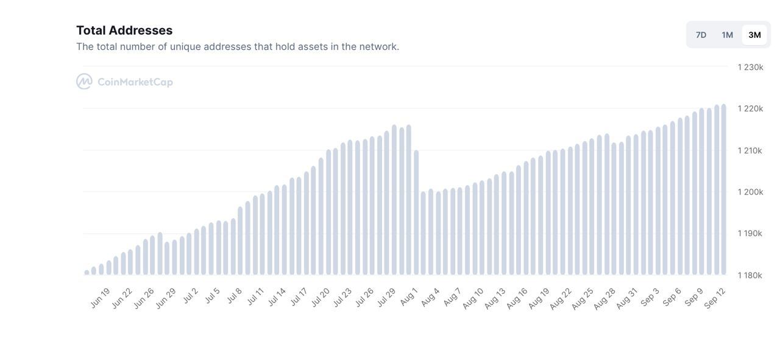 SHIB, 3 ayda 40.000'den fazla yeni sahip ekledi! Toplam adres sayısı kaç oldu? - Resim : 1