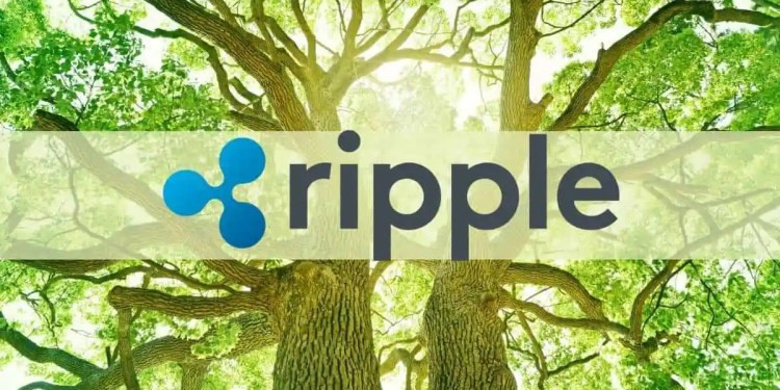 Ripple'dan iddialı sıfır karbon emisyon çıkışı! - Resim : 1
