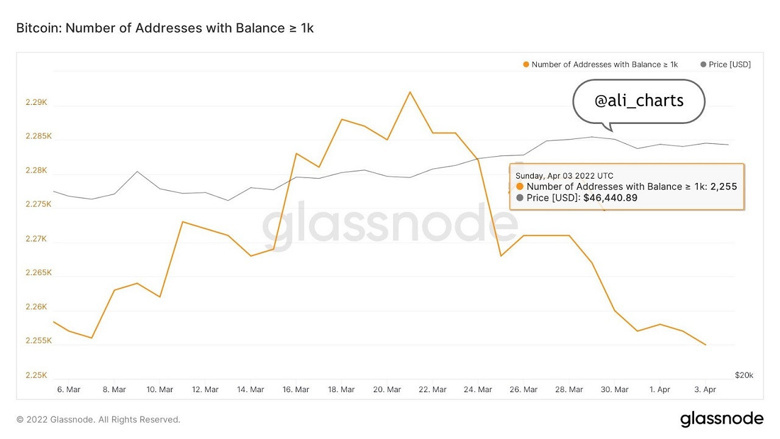 Balinalardan BTC fiyatını etkileyecek hamle! - Resim : 1