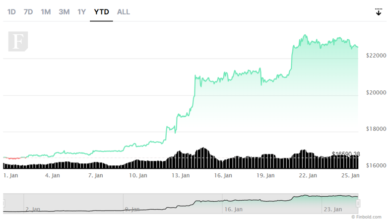 Bitcoin bu yıl 30.000 doları görebilir mi? - Resim : 3