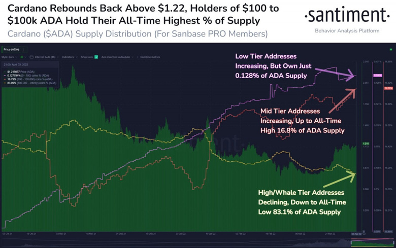 Cardano sahipleri, tüm zamanların en yüksek arzını elinde tutuyor! - Resim : 1