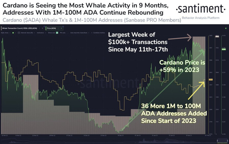 Cardano balina aktivitesi 9 ayın en yüksek seviyesinde! - Resim : 1