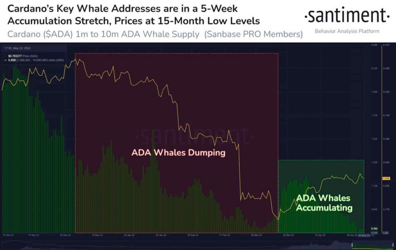 Cardano sahipleri müjde! Beklenen değişim başladı mı? - Resim : 1