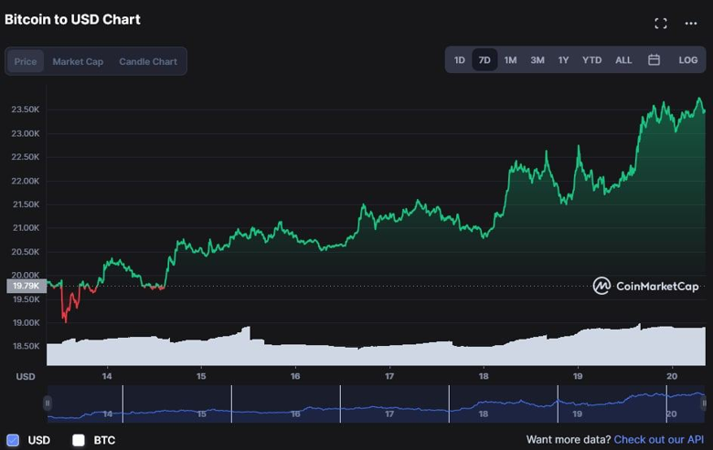 Piyasa değeri 1 haftada 70 milyar dolar artan Bitcoin rallide mi? - Resim : 2