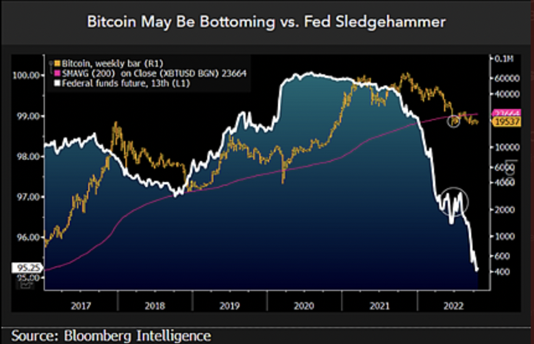 Bitcoin durdurulamaz olgunlaşma aşamasına mı giriyor? - Resim : 1