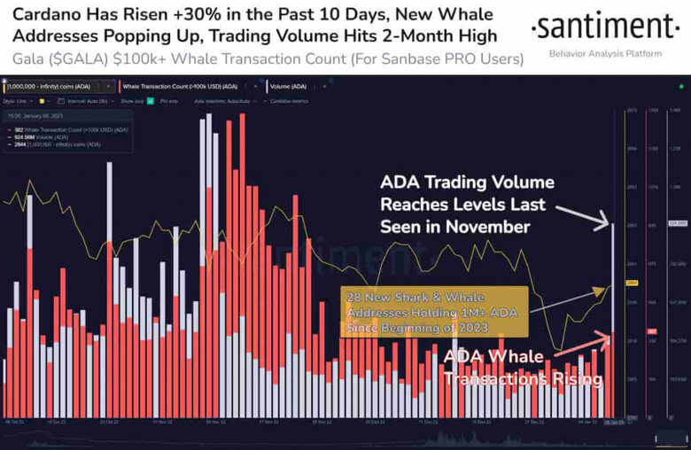 Cardano ticaret hacmi, 2 ayın en yüksek seviyesinde! - Resim : 1