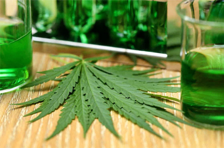 Metaverse evrende kenevir de yerini aldı! - Resim : 1