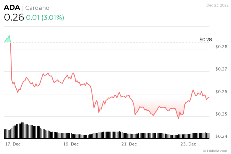 Cardano, zorlu yıla rağmen 2022'de göz kamaştırdı! - Resim : 2
