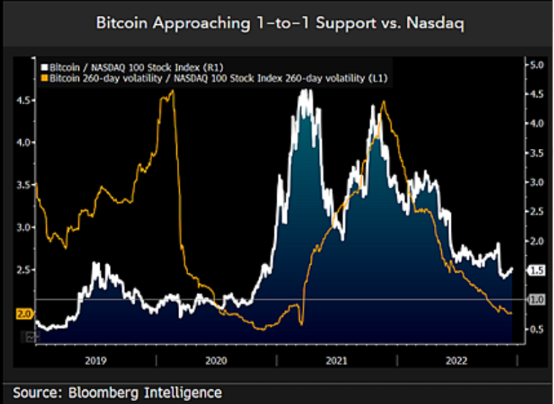 Emtia gurusu: 2023 yılı Bitcoin için 'sıcak bir dönem' olacak! - Resim : 1