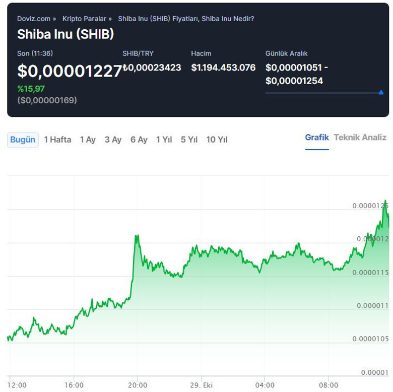 SHIB 24 saat içinde %16 değer kazandı! Devam edecek mi? - Resim : 1