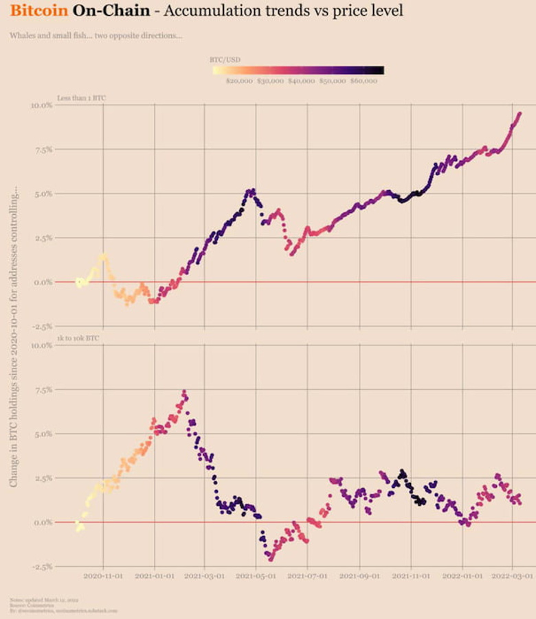 Veriler, Bitcoin'in balinaların desteğinden yoksun olabileceğini gösteriyor! - Resim : 1
