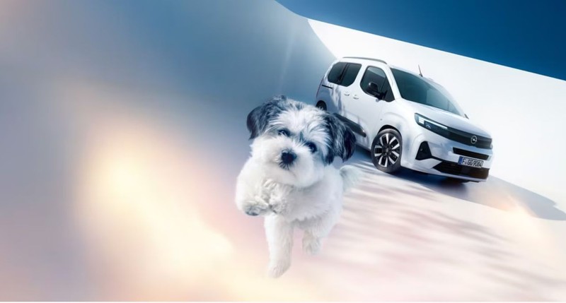 Opel çıldırdı, Clio'dan ucuza Opel Combo veriyorlar - Resim: 7