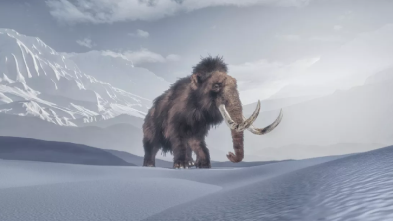 Mamut melezler geri geliyor! - Resim : 1