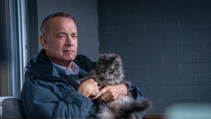 Tom Hanks'in “A Man Called Otto” Ne zaman Netflix'te olacak? - Resim: 3