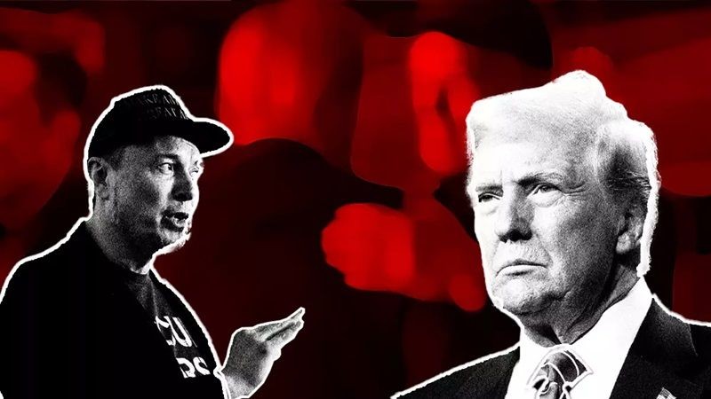 Trump Elon Musk'ı batırmakta kararlı, Tesla sadece bir günde milyarlarca dolar kaybetti - Resim: 6