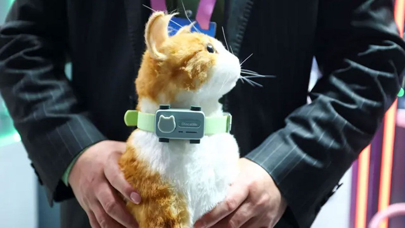 Evcil hayvanlar için akıllı telefon - Resim: 3