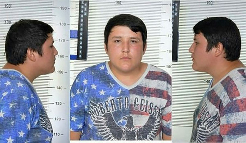 Tosuncuk Mehmet Aydın Türkiye'ye getirildi! - Resim : 1