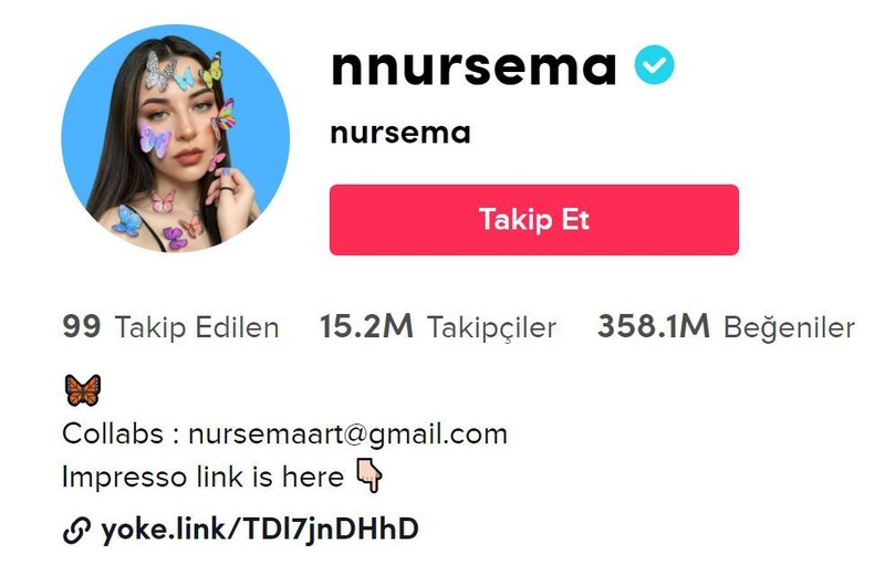 İşte Türkiye'nin en çok takip ettiği 10 TikTok fenomeni! - Resim: 3