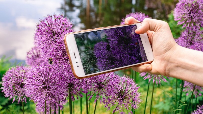 Cepte Pro modu ile harika fotoğraflar çekin (video)