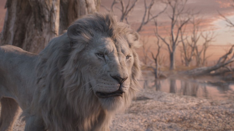 Mufasa: Aslan Kral’, Beyaz perdenin ardından ilk kez ve sadece 9 Temmuz’dan itibaren Disney+’ta!
