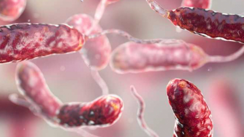 Uzmanlar şaşkın: Et yiyen bakteri ölümlerinde ani artış