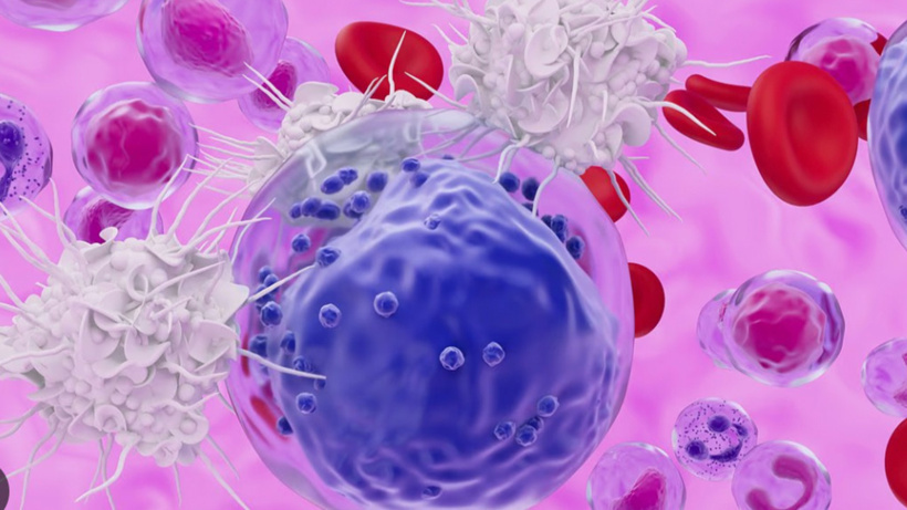 Bağışıklık sistemini genç tutmanın sırrı bulundu: Peki bedeli ne?