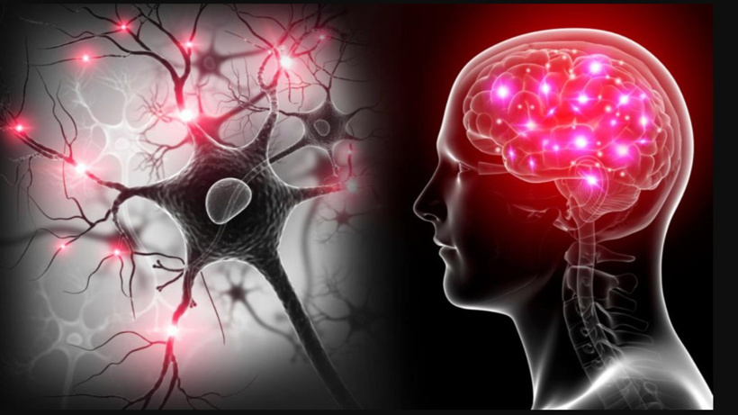 Yapay Zeka, Disleksi ve Otizm’in Erken Tanısında Yüzde 98'e Varan Doğruluk Sağladı