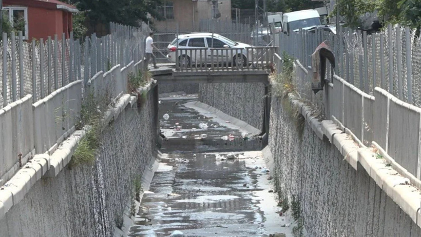 İstanbul'da "sivri sinek" tedirginliği! Sosyal medyadan yardım çağrısı - Resim : 2