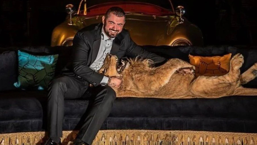 İstanbul'un göbeğinde aslan paniği! Ekipler ilaçlı ok ile yakaladı - Resim : 1