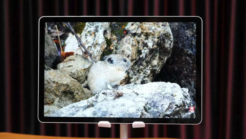 Samsung Galaxy Tab S9 FE