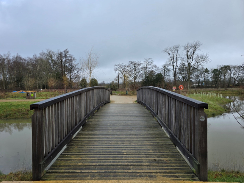 Samsung Galaxy S24 Ultra ile çekilen fotoğraflar iPhone 15 Pro Max'e meydan okuyor - Resim : 3