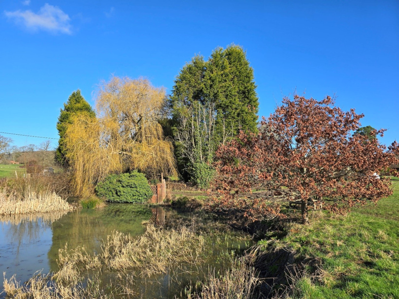 Samsung Galaxy S24 Ultra ile çekilen fotoğraflar iPhone 15 Pro Max'e meydan okuyor - Resim : 4