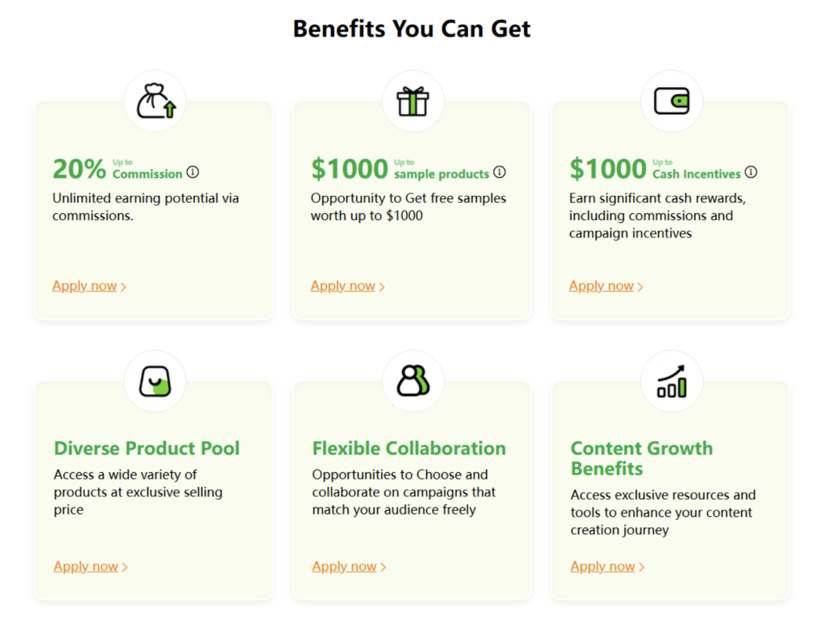Temu’nun Influencer Programının Faydalarını Keşfedin - Resim : 1